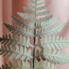 Gros plan sur les folioles détaillées d'une tige fougère en papier vert océan faite main