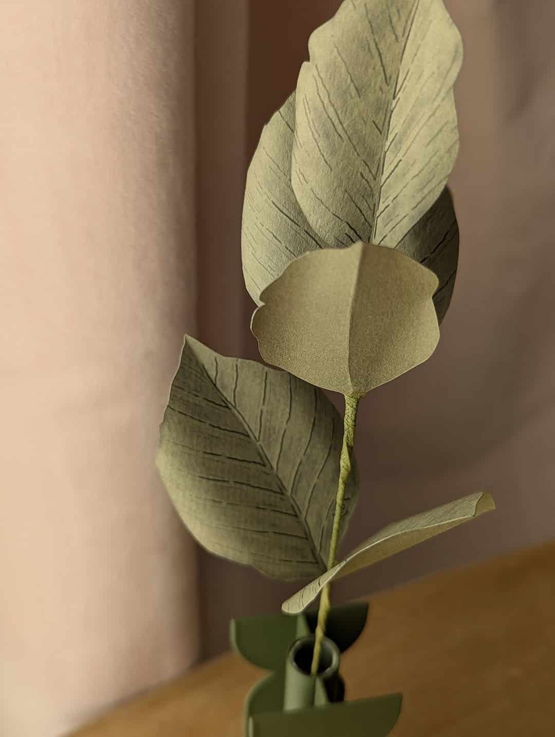 Gros plan sur les feuilles veinées d'une branche de hêtre en papier vert olive