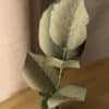 Vue rapprochée du feuillage d'une branche de hêtre en papier coloris vert olive