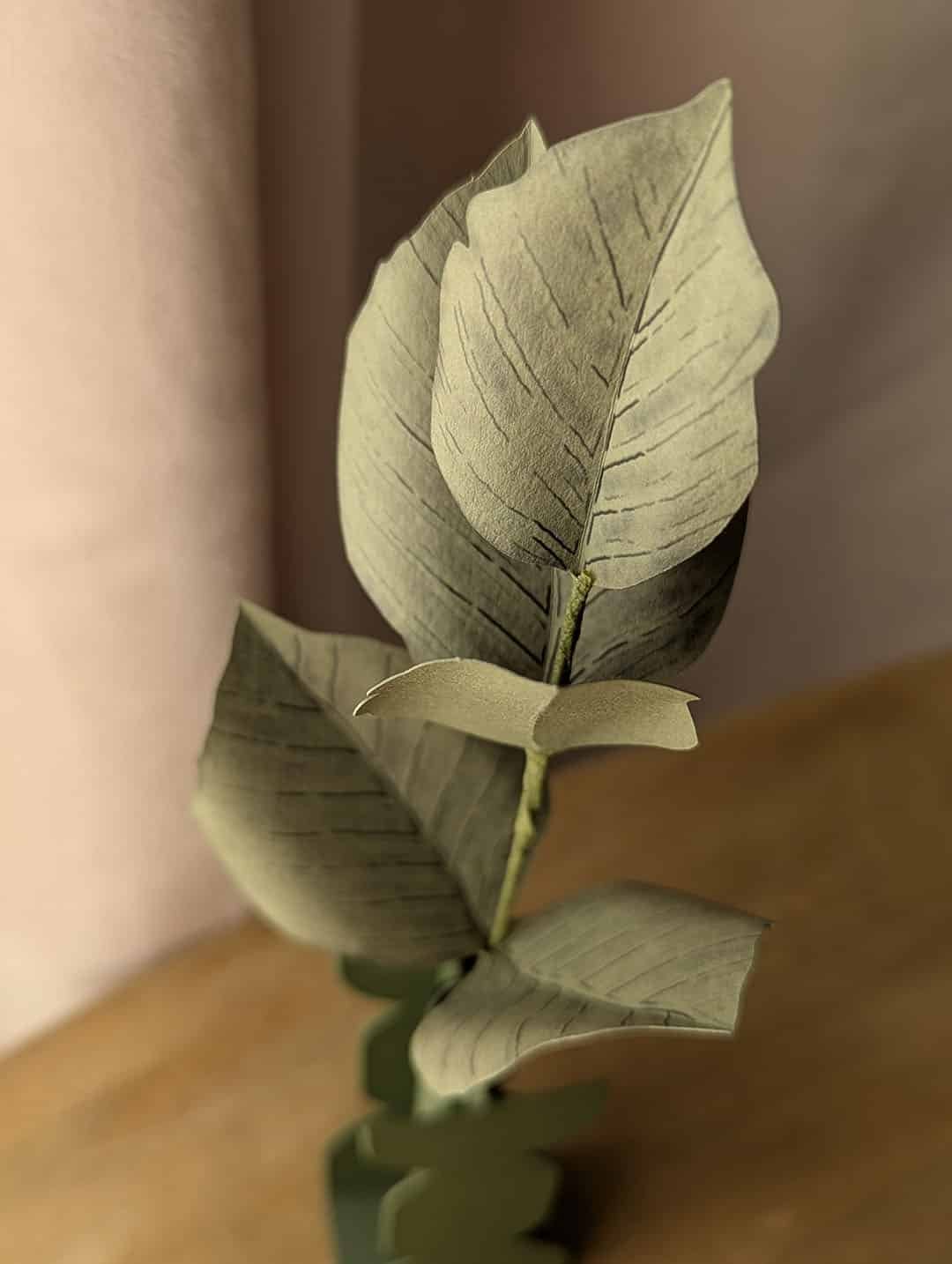 Vue rapprochée du feuillage d'une branche de hêtre en papier coloris vert olive