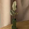 Branche de hêtre en papier coloris vert olive dans un vase vert imprimé en 3D sur une table en bois