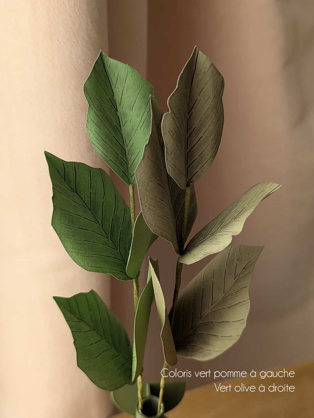 Gros plan sur deux branches de hêtre en papier, coloris vert pomme et vert olive