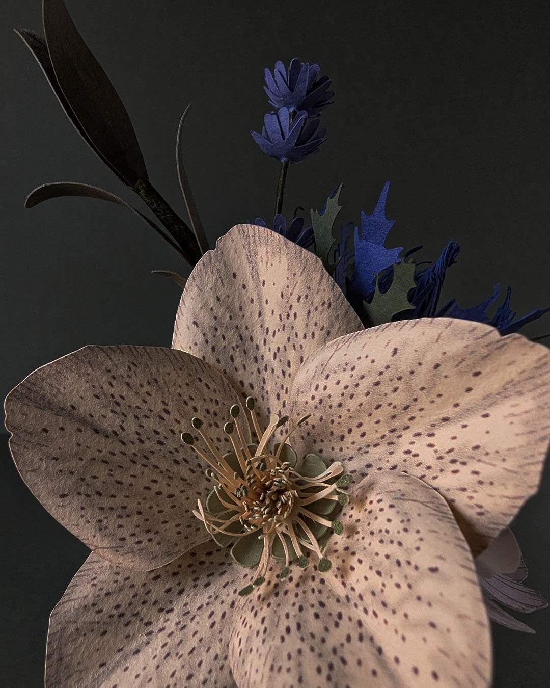 Macro-photographie du cœur d'une hellébore ivoire en papier, avec ses étamines finement découpées et ses pétales dessinées