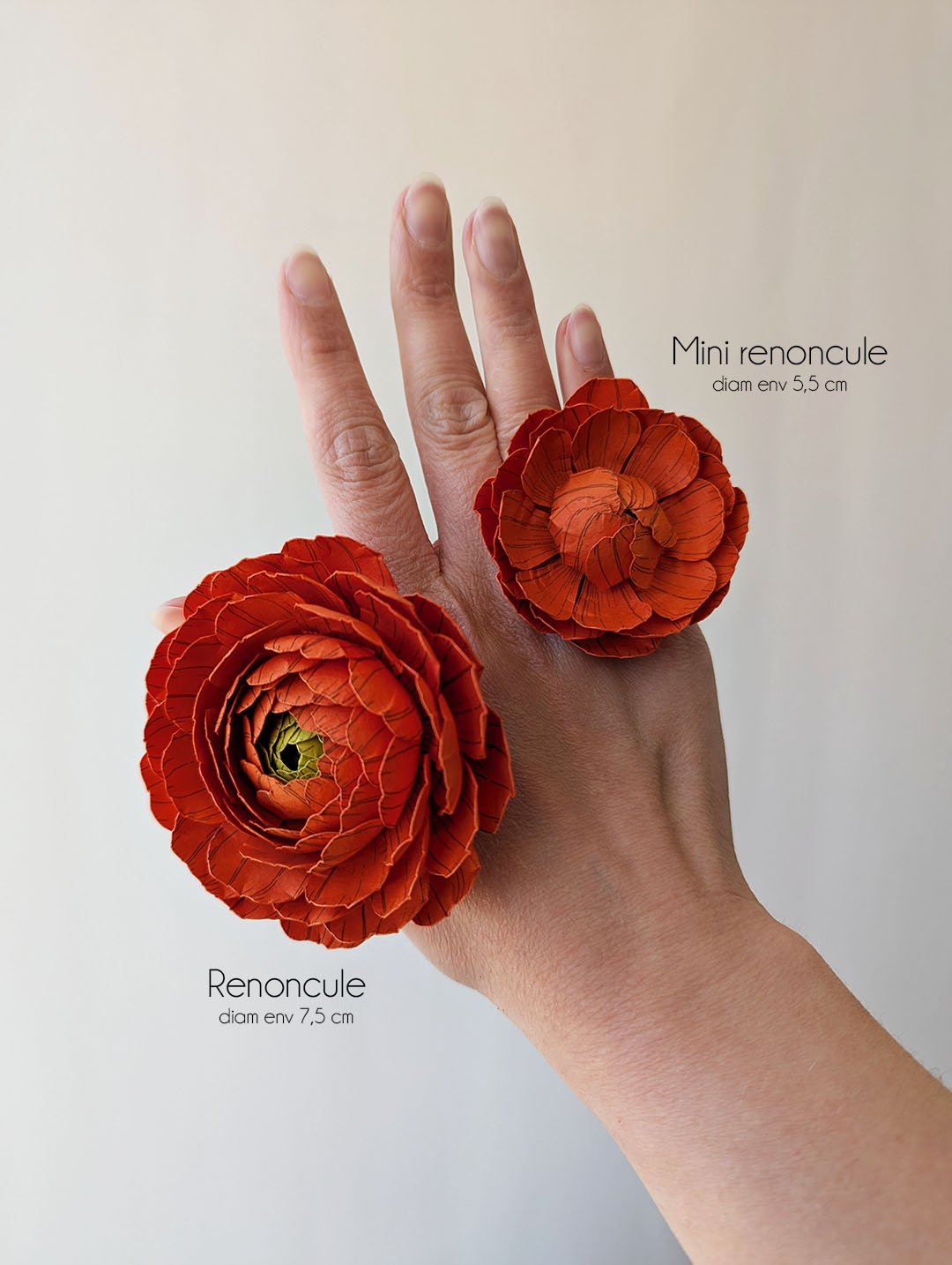 Fleur-papier-renoncule-horticulture-artisanal-durable-anaislvdx