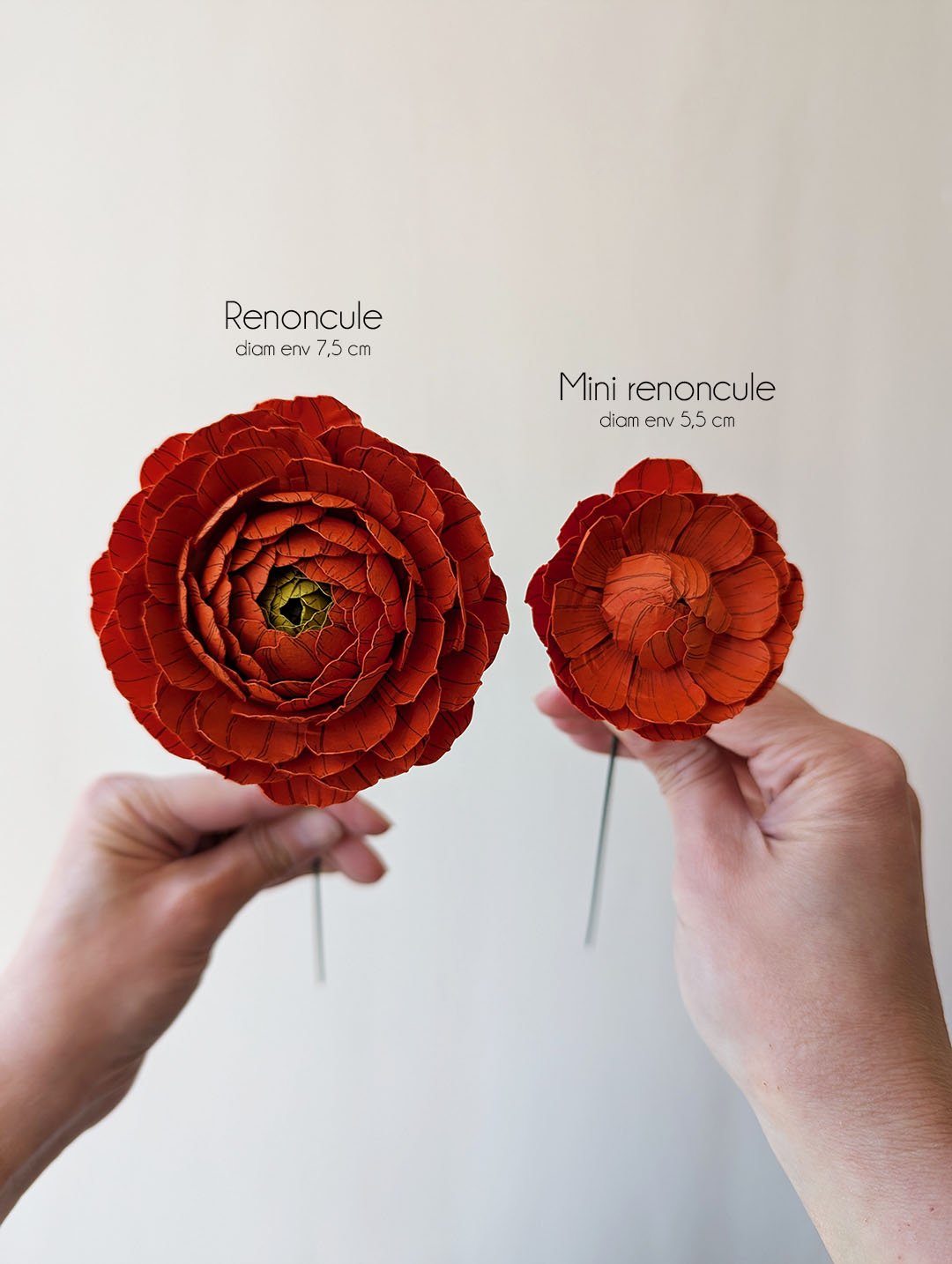Fleur-papier-renoncule-horticulture-artisanal-durable-anaislvdx