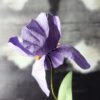 fleur iris en papier dessiné déco artisanale durable
