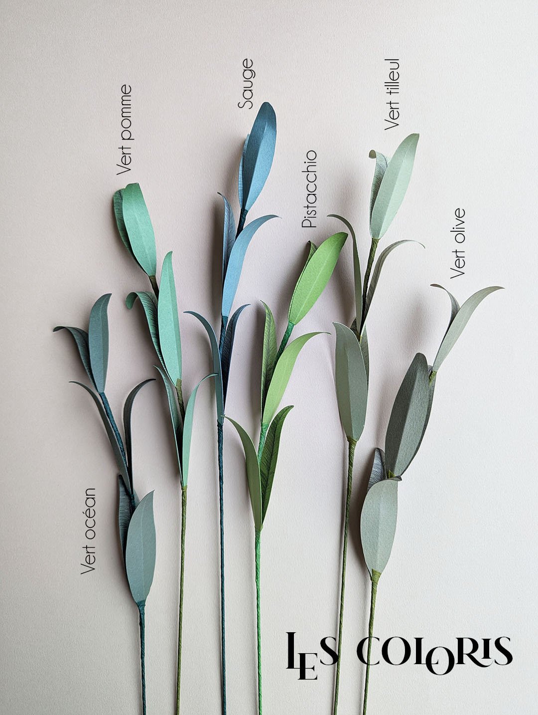 Feuillage-papier-big-olivier-horticulture-artisanal-durable-anaislvdx