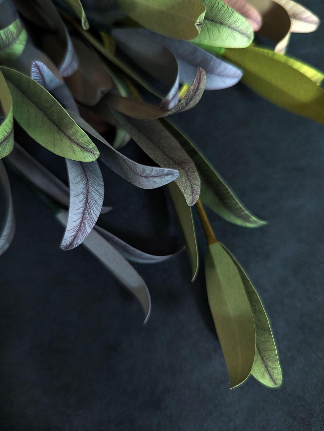 Feuillage-papier-big-olivier-horticulture-artisanal-durable-anaislvdx