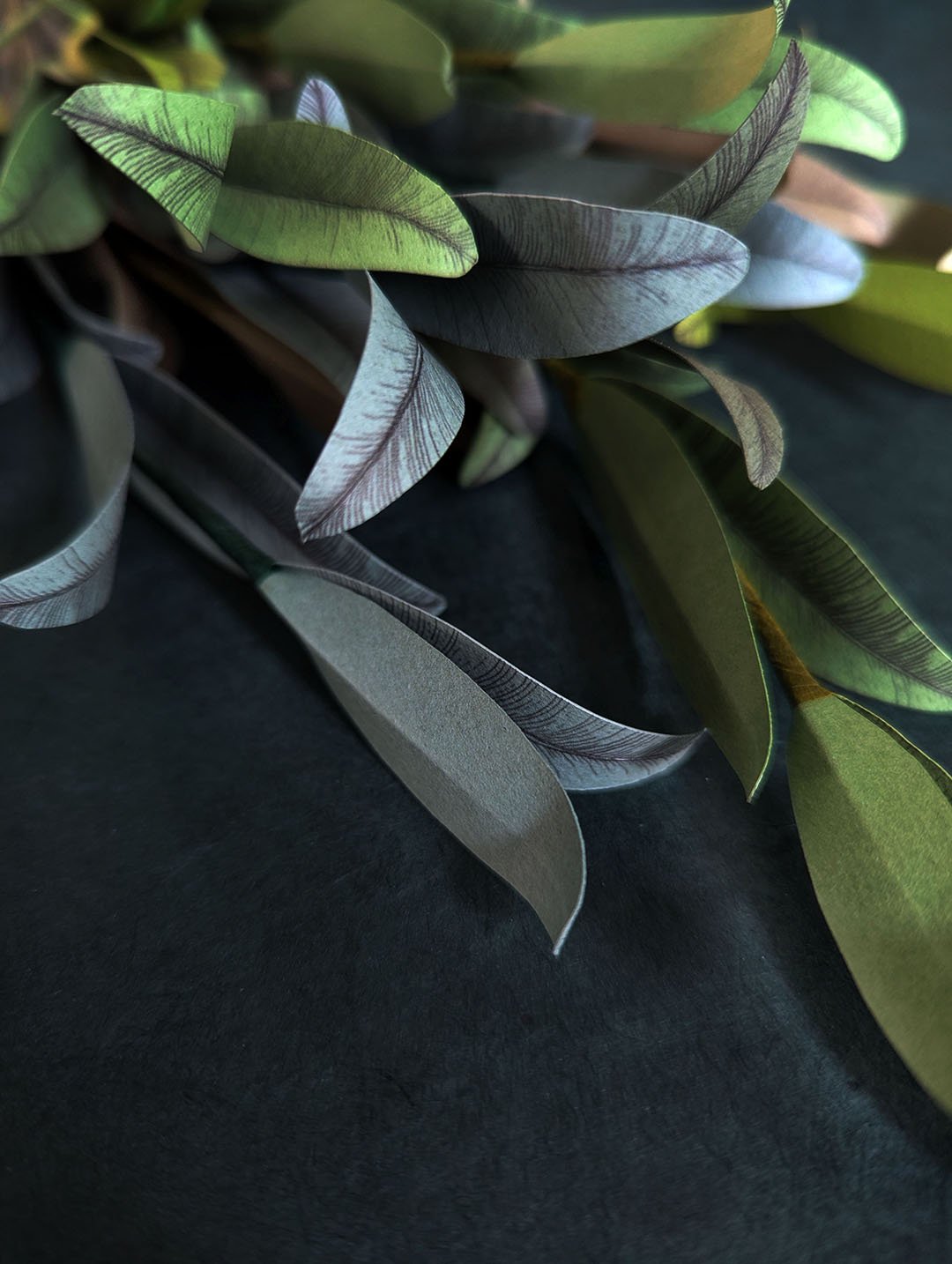 Feuillage-papier-big-olivier-horticulture-artisanal-durable-anaislvdx