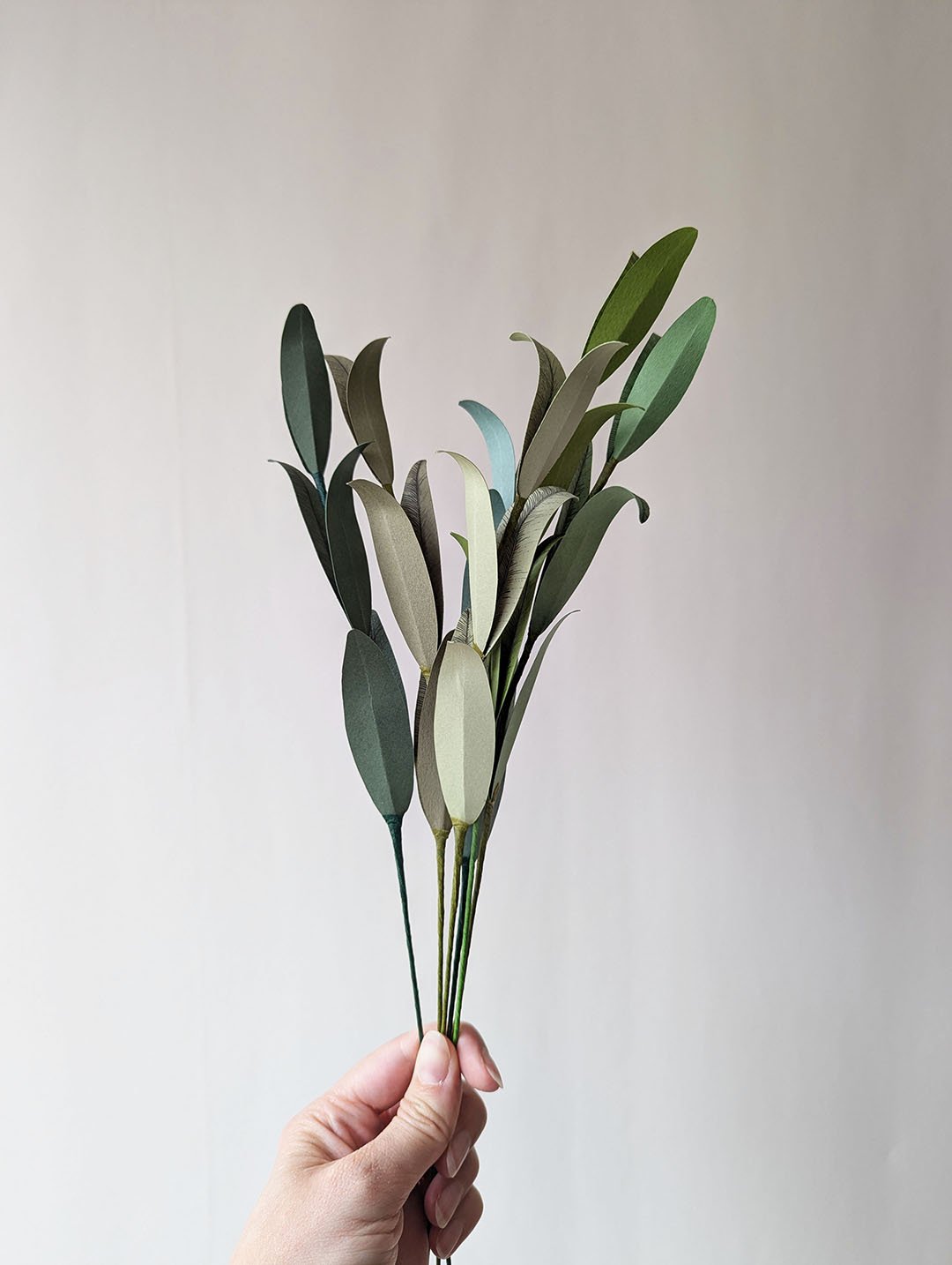 Feuillage-papier-big-olivier-horticulture-artisanal-durable-anaislvdx