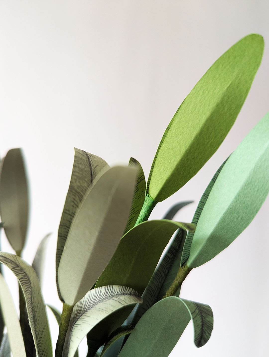 Feuillage-papier-big-olivier-horticulture-artisanal-durable-anaislvdx