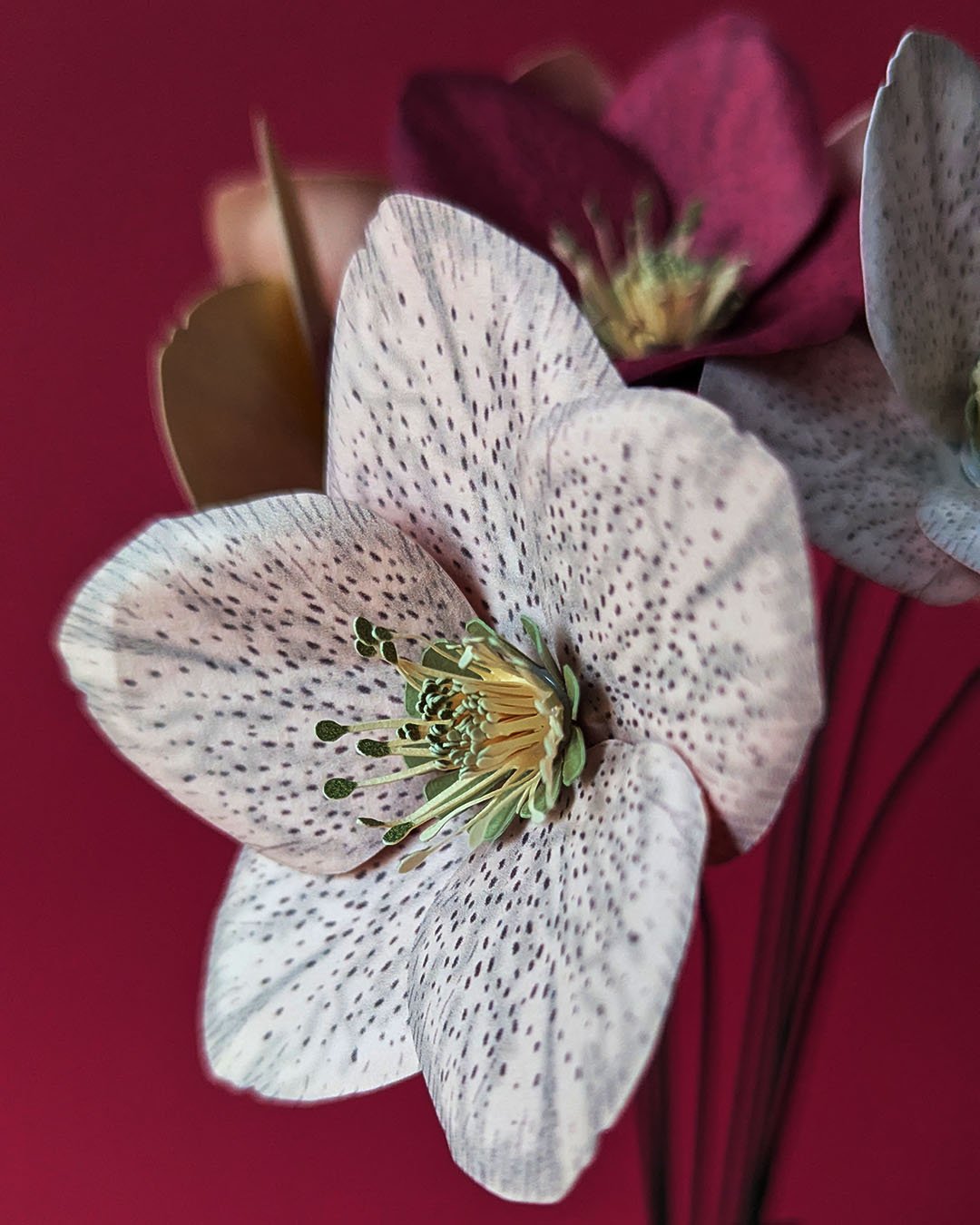 une fleur en papier l'hellébore rose de l'hiver