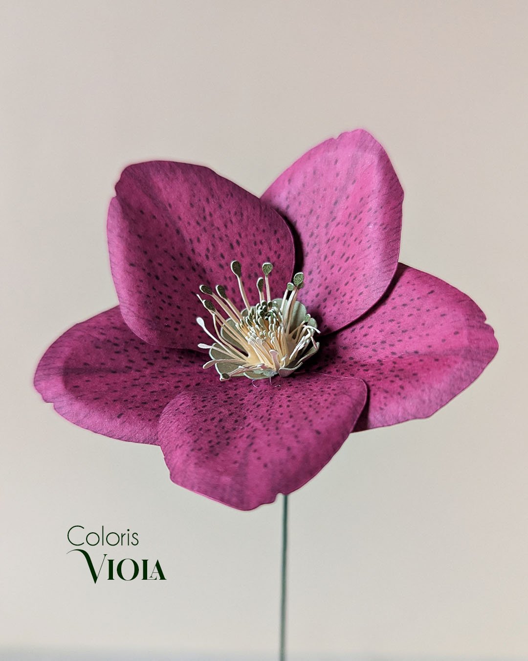 fleur en papier héllébore décoration intérieure création artisanale