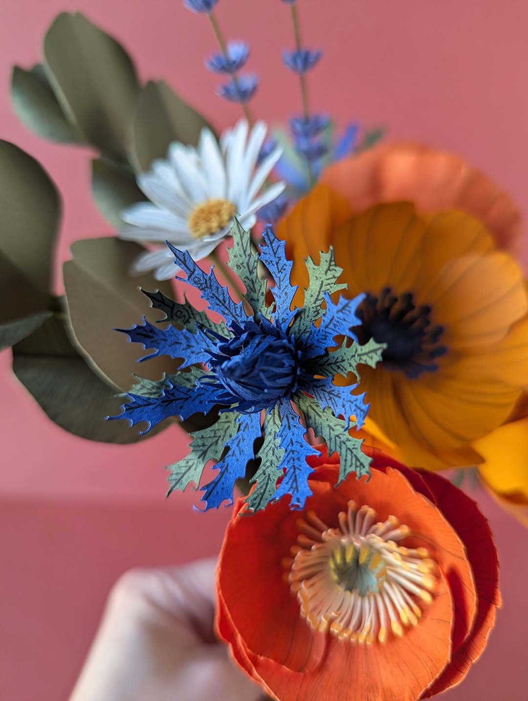 Gros plan sur un chardon bleu outremer aux bractées dentelées vertes du bouquet Garrigue en fleurs de papier, avec un mini pavot orange et une pâquerette blanche en arrière-plan