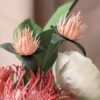 Deux fleurs de trèfle rosa en papier d'art et leurs feuilles vertes, près d'un leucospermum et d'un pavot blanc