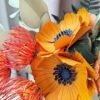 Détail de deux anémones jaune soleil en papier au cœur bleu nuit, entourées de leucospermums et de grandes feuilles d'eucalyptus