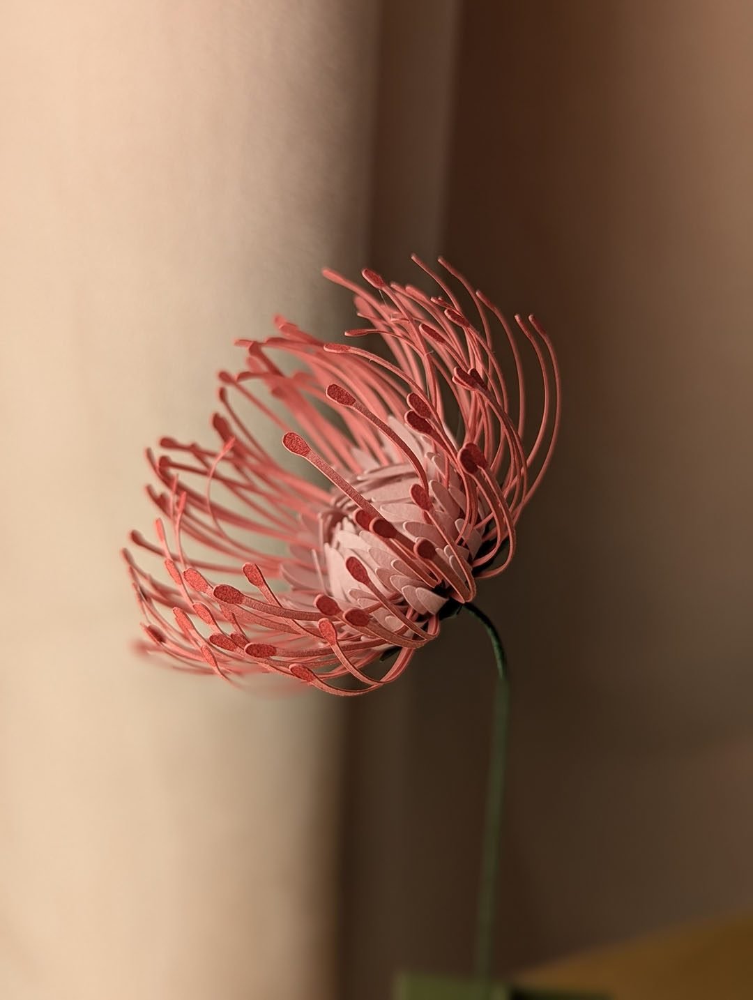 Gros plan sur les étamines recourbées d'une tête d'épingles rose en papier fait main