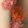 Gros plan sur trois têtes d'épingles en papier, orange et rose, aux étamines déployées