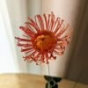 Tête d'épingles orange en papier par Anaïs LVDX dans un vase La Chambre d'Ami