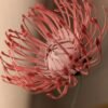 Gros plan sur le cœur rose poudré d'une tête d'épingles en papier fabriquée à la main