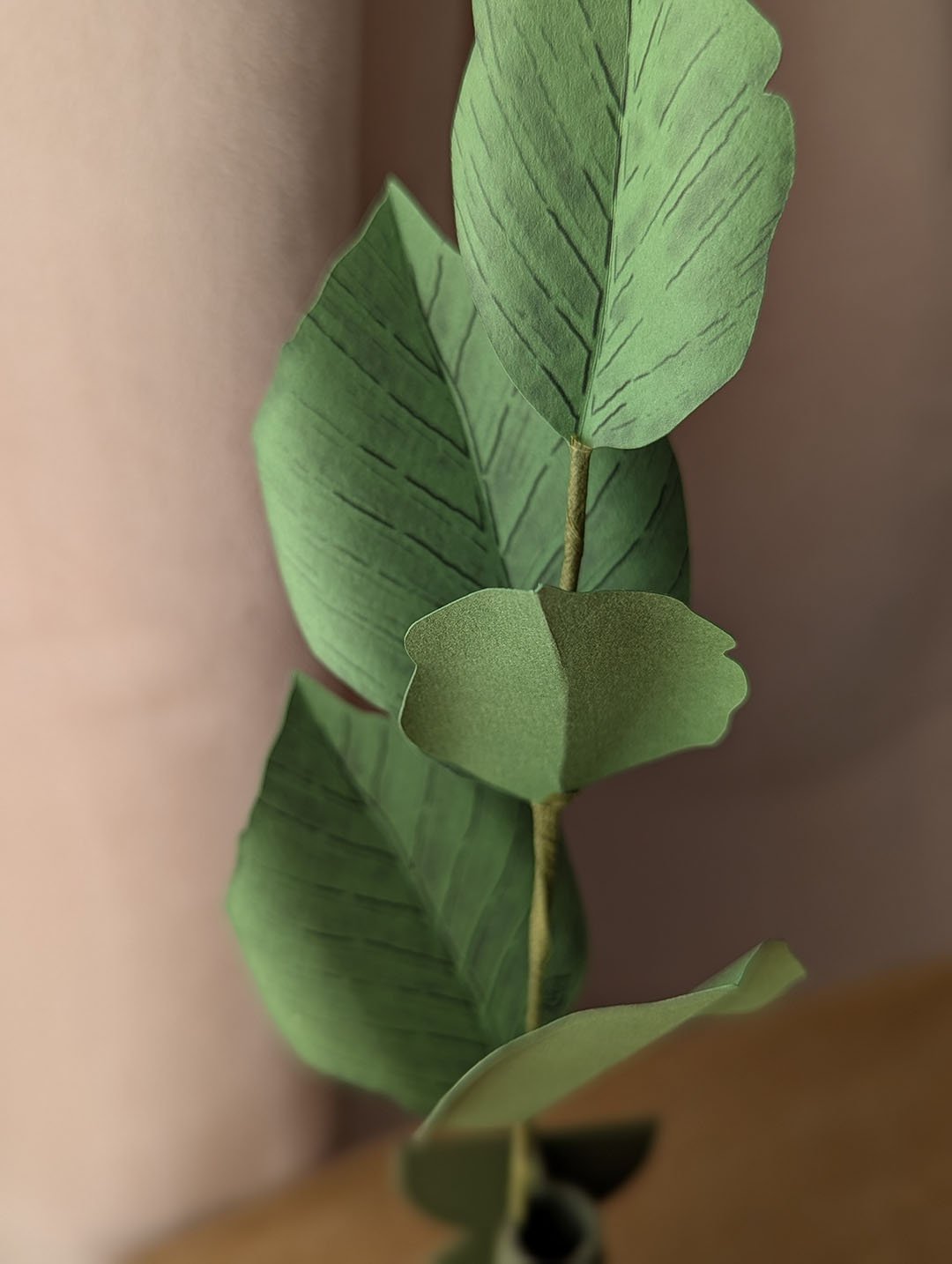 Gros plan sur les feuilles veinées d'une branche de hêtre en papier vert pomme