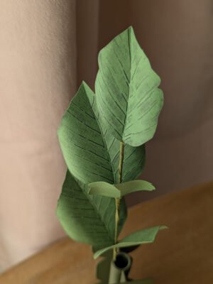 Vue rapprochée du feuillage d'une branche de hêtre en papier coloris vert pomme