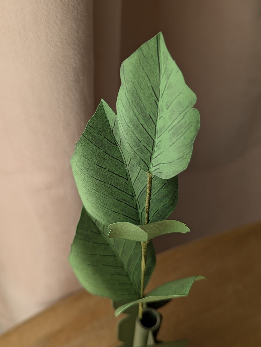 Vue rapprochée du feuillage d'une branche de hêtre en papier coloris vert pomme