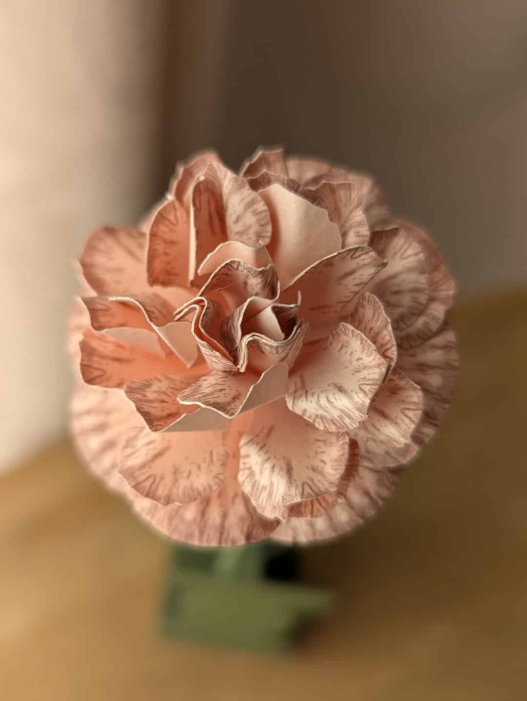 Vue de dessus d'un oeillet en papier rose pâle coloris Rosa posé dans un vase vert