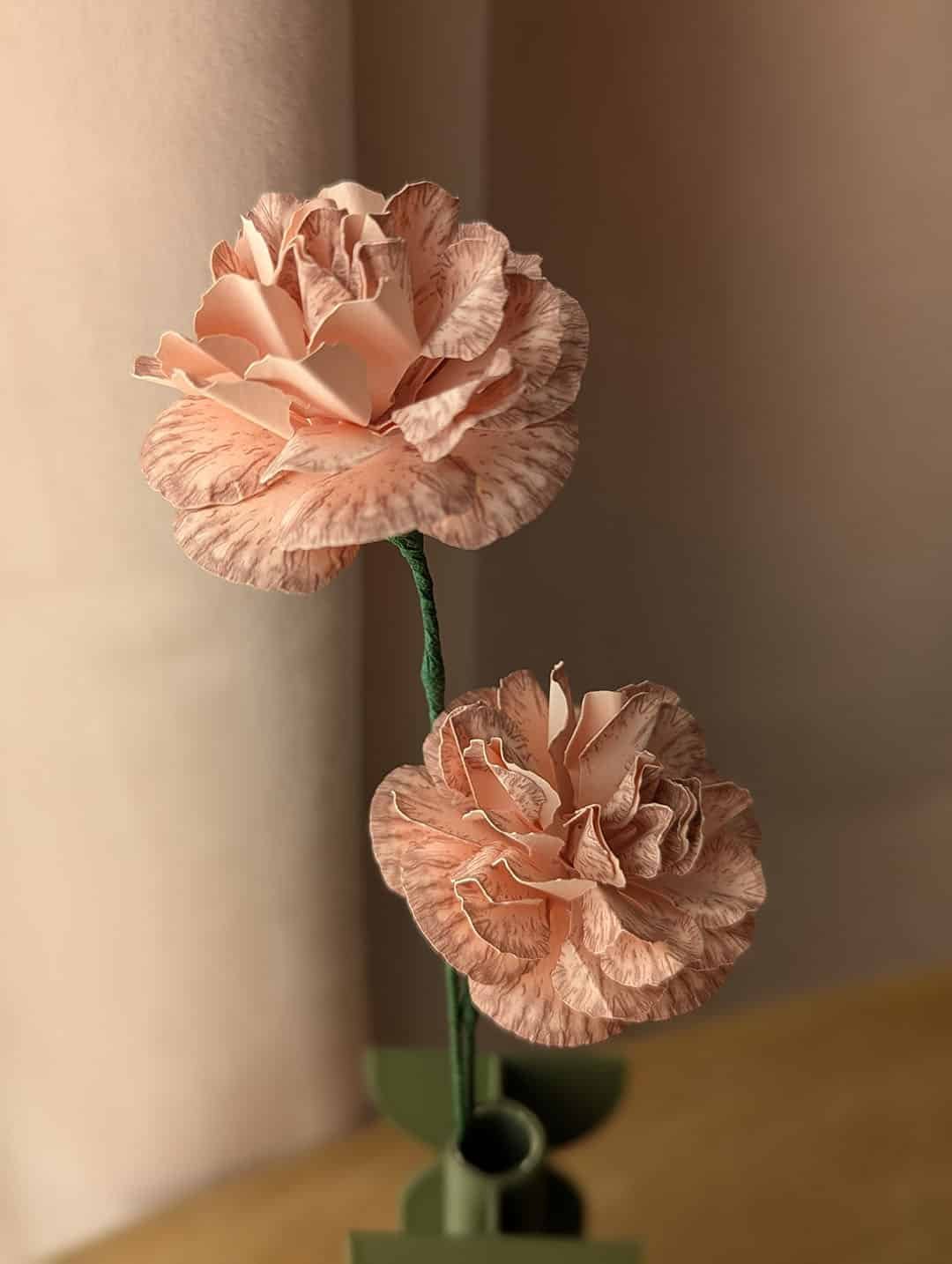 Gros plan sur deux oeillets en papier rose pâle coloris Rosa sur une même tige