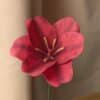 Gros plan sur une tulipe ouverte en papier fuchsia avec ses étamines jaunes