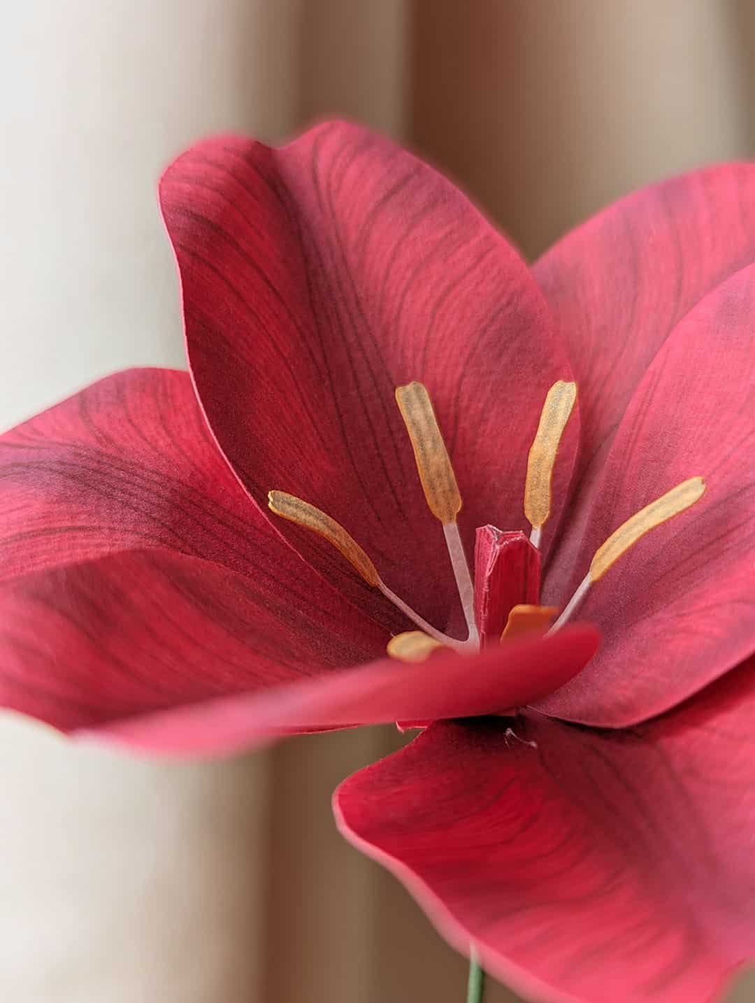 Vue macro du cœur d'une tulipe en papier fuchsia avec ses étamines et son pistil