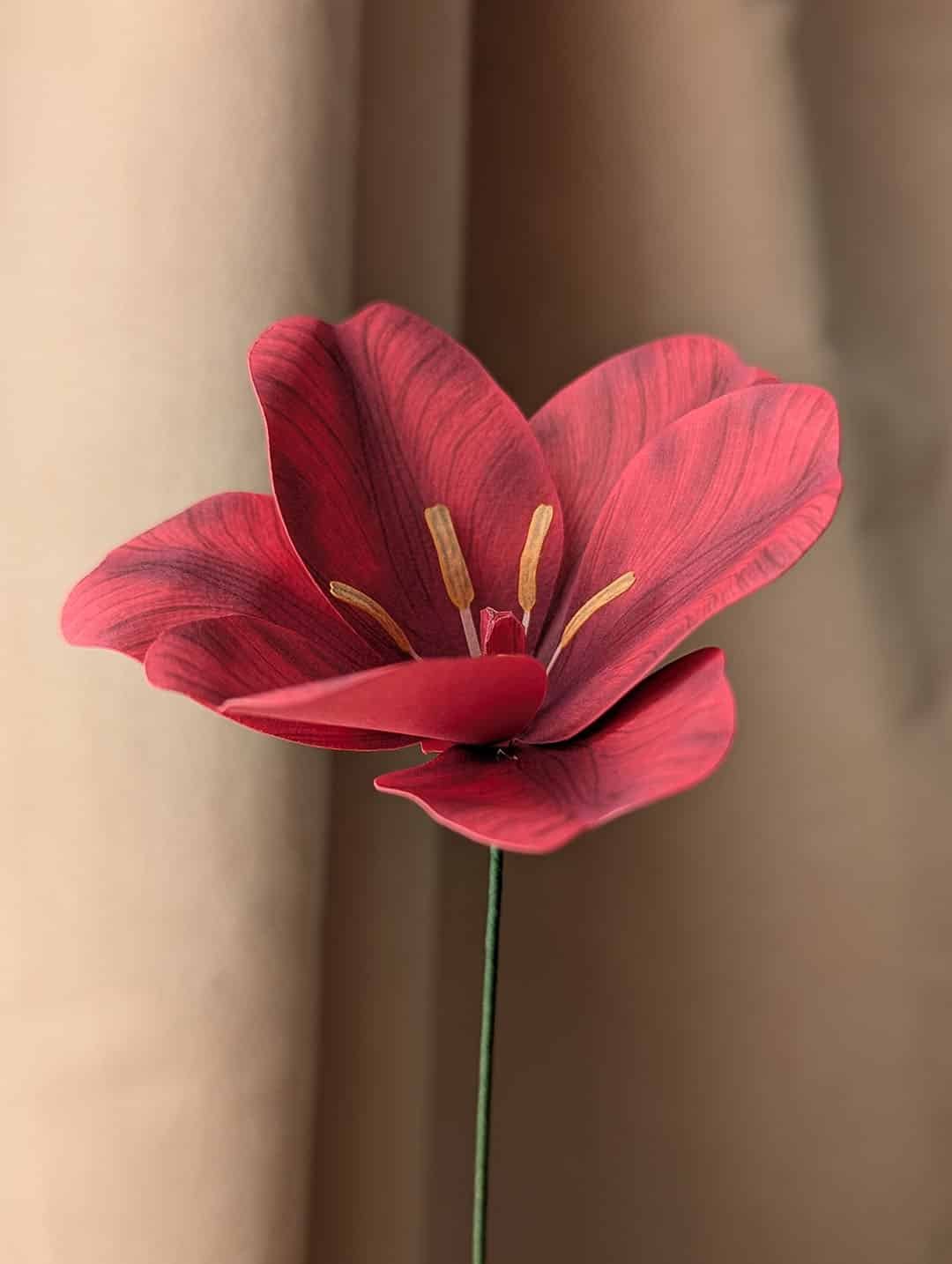 Vue latérale d'une tulipe ouverte en papier fuchsia sur sa tige verte