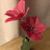 Gros plan sur deux tulipes ouvertes en papier fuchsia sur une même tige